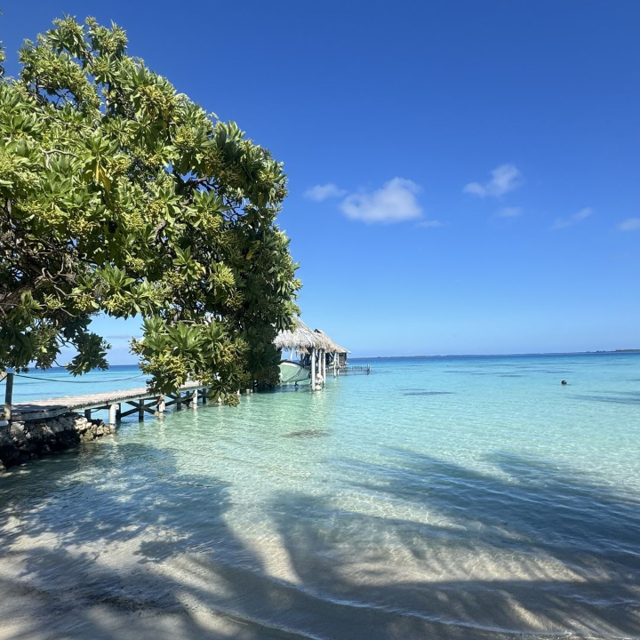 Fakarava Sands